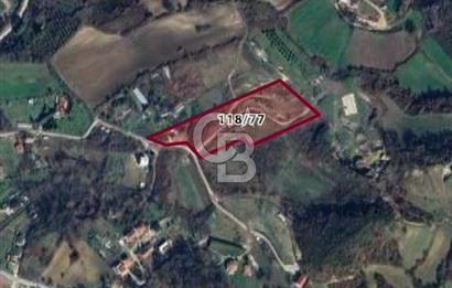YALOVA SAFRAN SATILIK TARLA 14.246 M2 !.