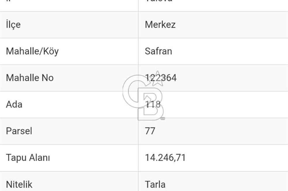 YALOVA SAFRAN SATILIK TARLA 14.246 M2 !.