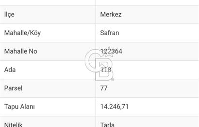 YALOVA SAFRAN SATILIK TARLA 14.246 M2 !.