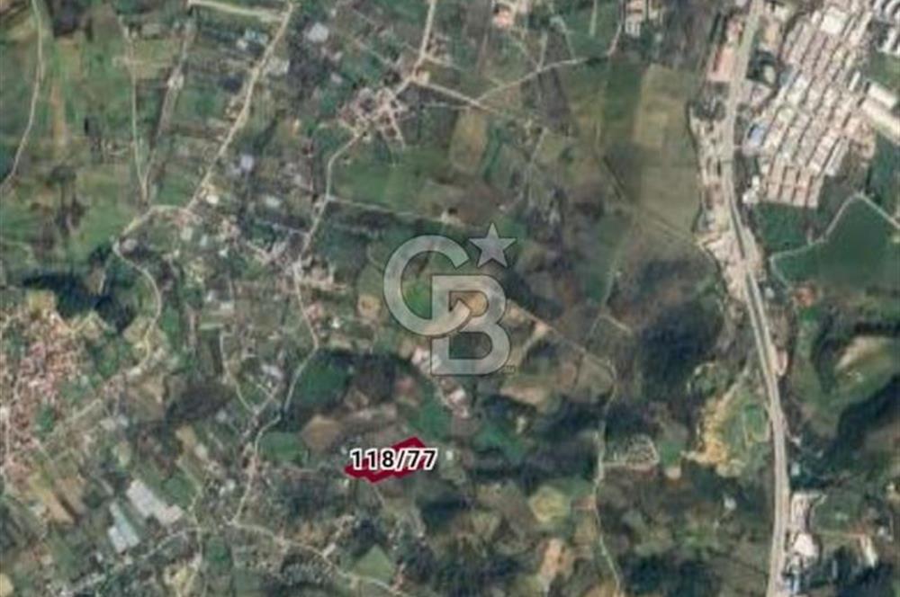 YALOVA SAFRAN SATILIK TARLA 14.246 M2 !.