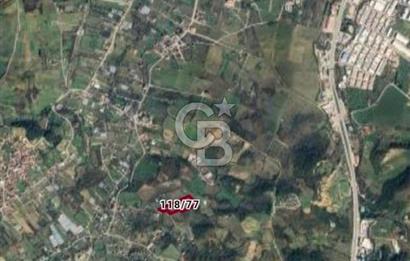 YALOVA SAFRAN SATILIK TARLA 14.246 M2 !.