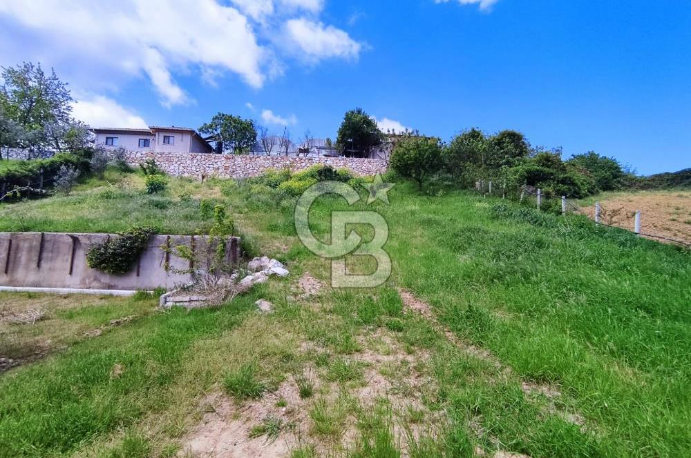 YALOVA AKKÖY SATILIK KÖY İÇİ İMARLI BAHÇE 1423 M2!.(MÜSTAKİL EV)