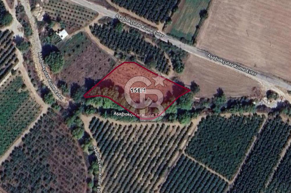ÇANAKKALE MERKEZ AŞAĞI OKÇULAR KÖYÜNDE 4078 M2 SATILIK TARLA