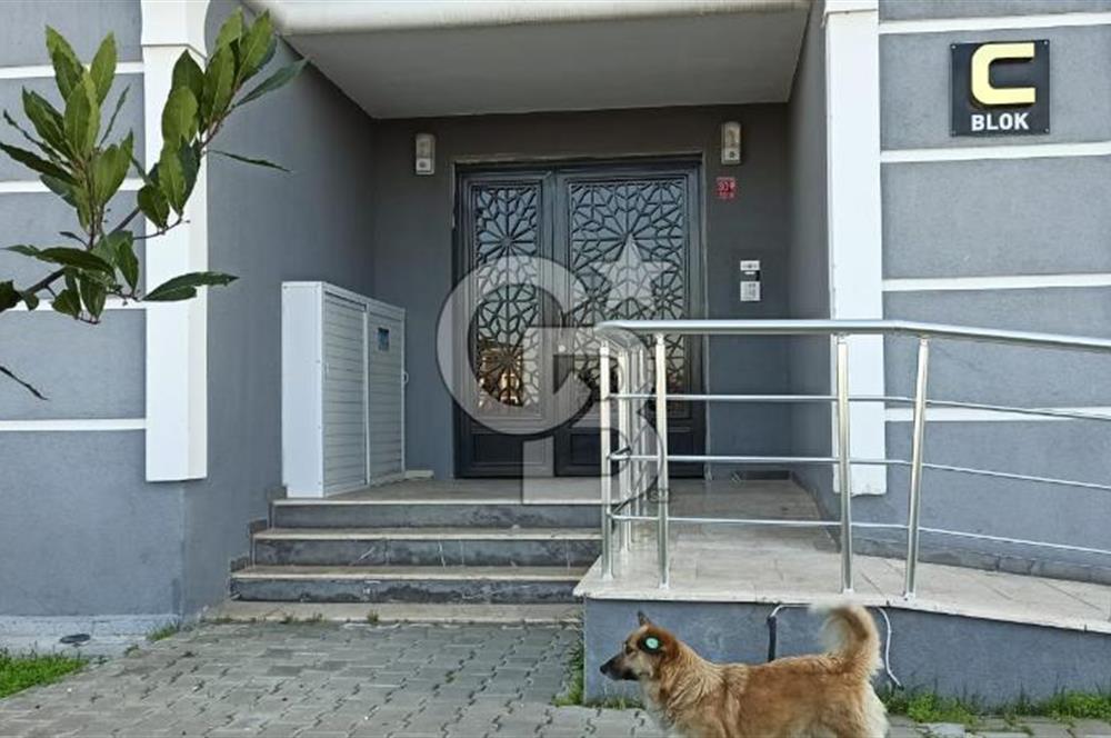 Ayvalık Altınova'da 3+1 Satılık Daire 