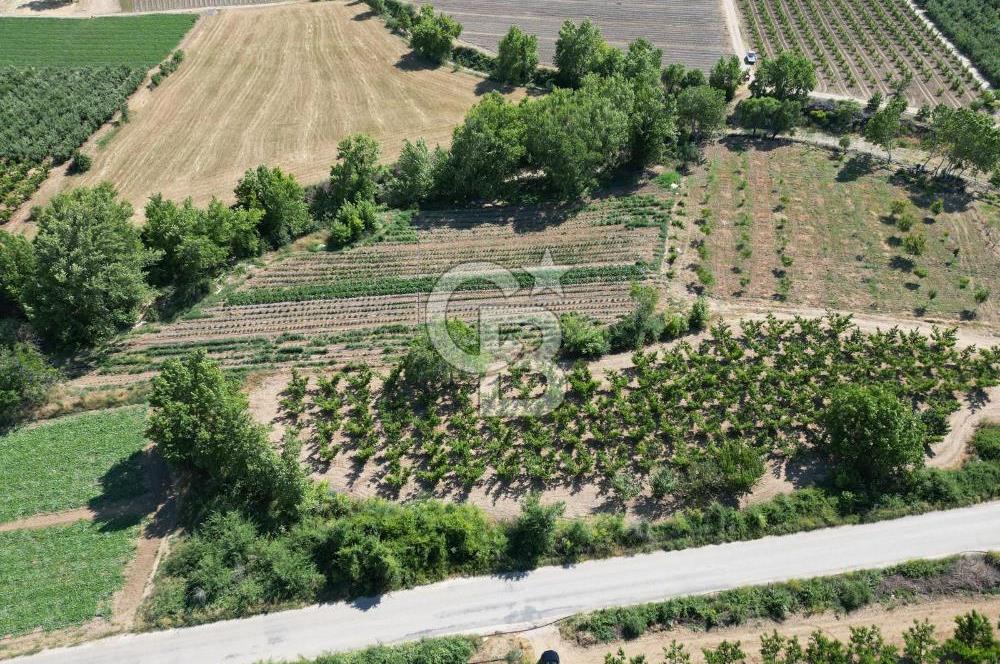ÇANAKKALE MERKEZ AŞAĞI OKÇULAR KÖYÜNDE 4078 M2 SATILIK TARLA