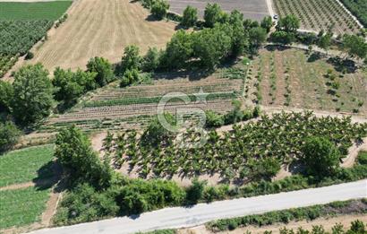 ÇANAKKALE MERKEZ AŞAĞI OKÇULAR KÖYÜNDE 4078 M2 SATILIK TARLA