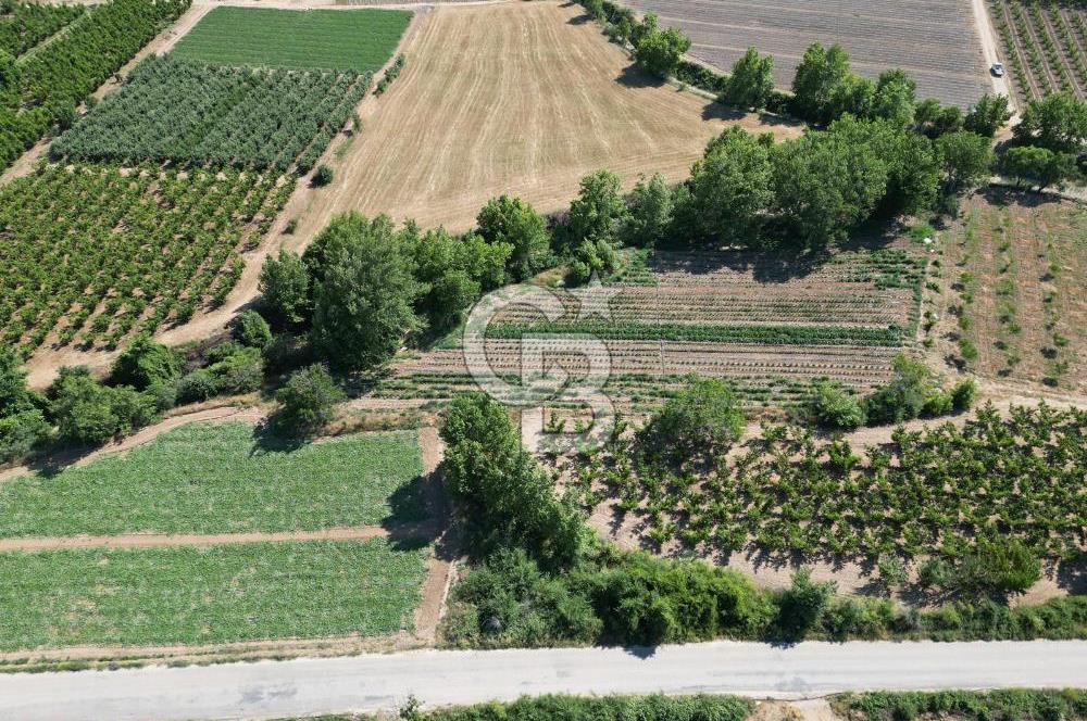 ÇANAKKALE MERKEZ AŞAĞI OKÇULAR KÖYÜNDE 4078 M2 SATILIK TARLA
