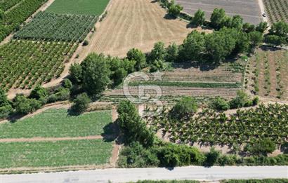ÇANAKKALE MERKEZ AŞAĞI OKÇULAR KÖYÜNDE 4078 M2 SATILIK TARLA