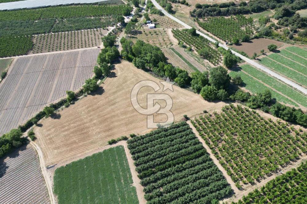 ÇANAKKALE MERKEZ AŞAĞI OKÇULAR KÖYÜNDE 4078 M2 SATILIK TARLA