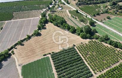 ÇANAKKALE MERKEZ AŞAĞI OKÇULAR KÖYÜNDE 4078 M2 SATILIK TARLA