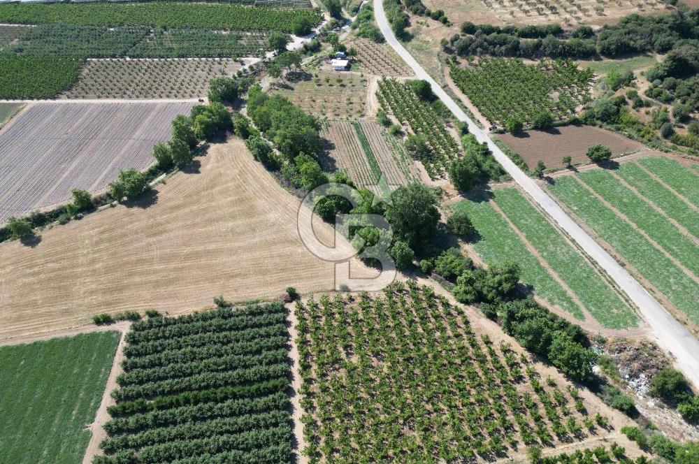 ÇANAKKALE MERKEZ AŞAĞI OKÇULAR KÖYÜNDE 4078 M2 SATILIK TARLA