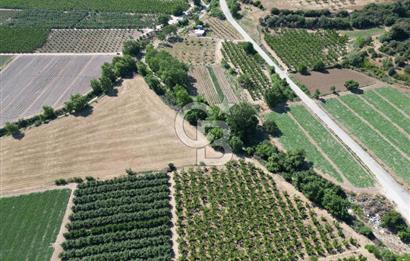 ÇANAKKALE MERKEZ AŞAĞI OKÇULAR KÖYÜNDE 4078 M2 SATILIK TARLA