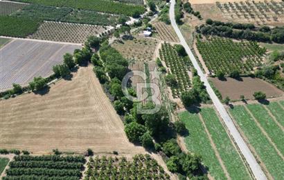 ÇANAKKALE MERKEZ AŞAĞI OKÇULAR KÖYÜNDE 4078 M2 SATILIK TARLA