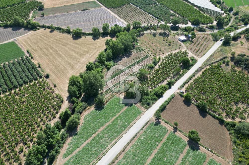 ÇANAKKALE MERKEZ AŞAĞI OKÇULAR KÖYÜNDE 4078 M2 SATILIK TARLA
