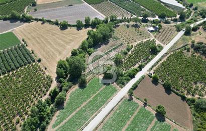 ÇANAKKALE MERKEZ AŞAĞI OKÇULAR KÖYÜNDE 4078 M2 SATILIK TARLA