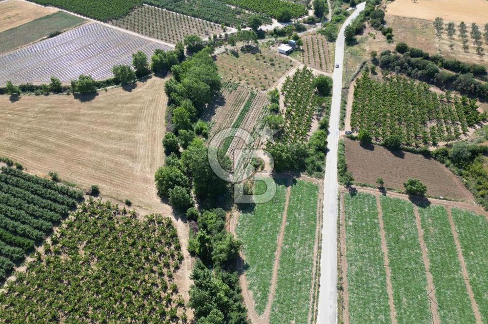 ÇANAKKALE MERKEZ AŞAĞI OKÇULAR KÖYÜNDE 4078 M2 SATILIK TARLA