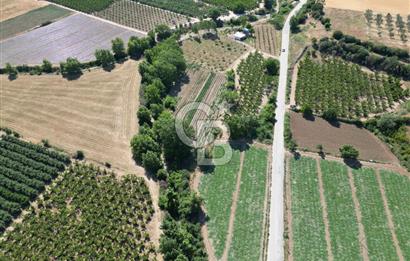ÇANAKKALE MERKEZ AŞAĞI OKÇULAR KÖYÜNDE 4078 M2 SATILIK TARLA