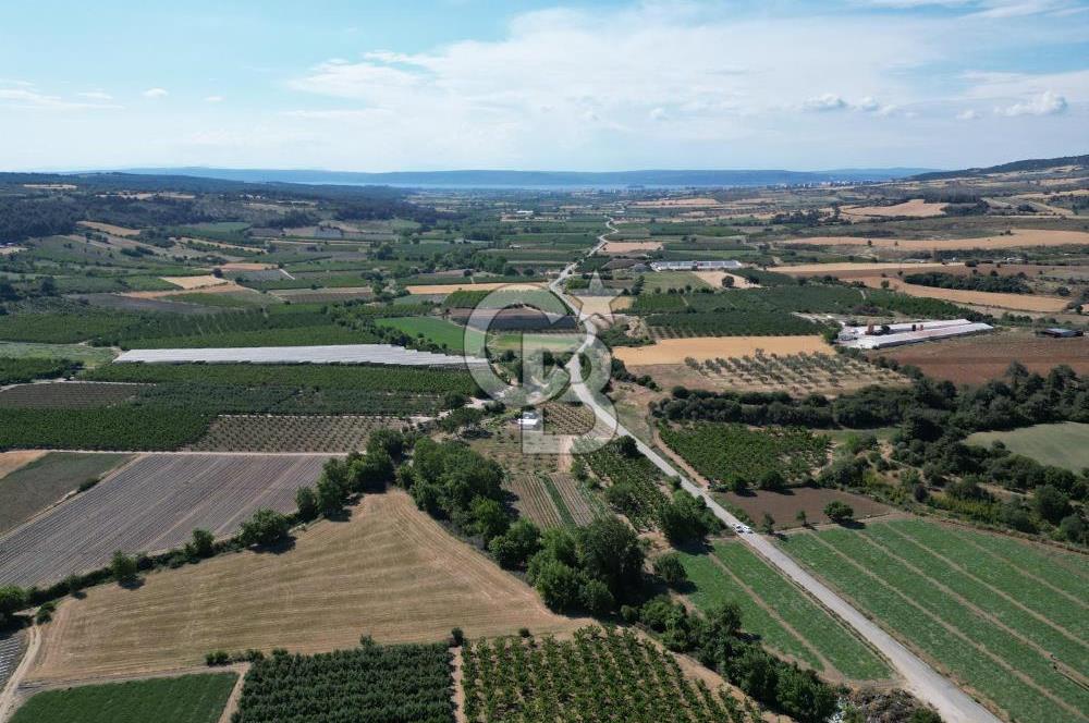 ÇANAKKALE MERKEZ AŞAĞI OKÇULAR KÖYÜNDE 4078 M2 SATILIK TARLA