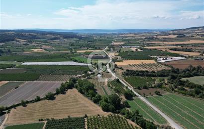 ÇANAKKALE MERKEZ AŞAĞI OKÇULAR KÖYÜNDE 4078 M2 SATILIK TARLA