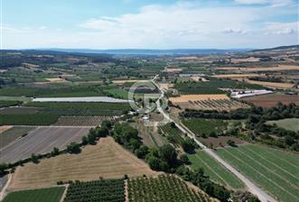ÇANAKKALE MERKEZ AŞAĞI OKÇULAR KÖYÜNDE 4078 M2 SATILIK TARLA