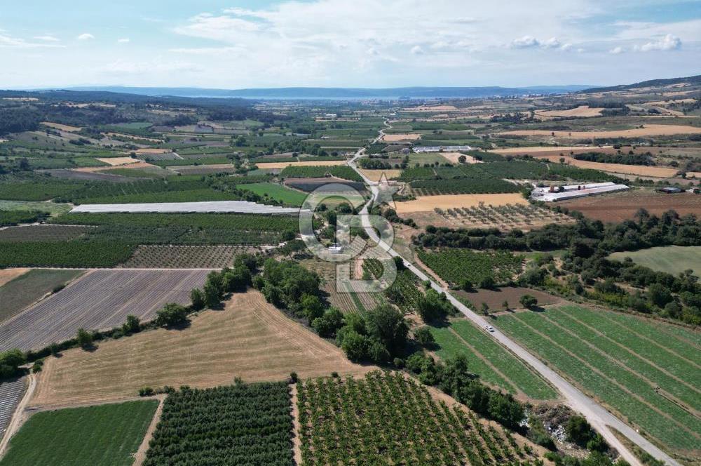 ÇANAKKALE MERKEZ AŞAĞI OKÇULAR KÖYÜNDE 4078 M2 SATILIK TARLA