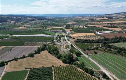 ÇANAKKALE MERKEZ AŞAĞI OKÇULAR KÖYÜNDE 4078 M2 SATILIK TARLA