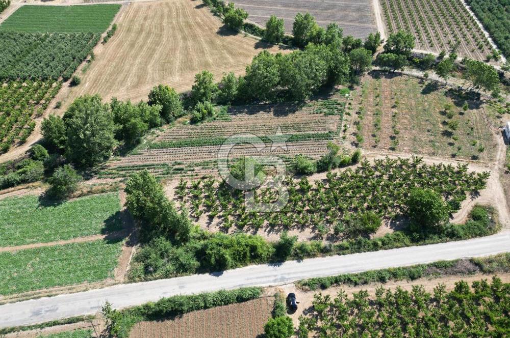 ÇANAKKALE MERKEZ AŞAĞI OKÇULAR KÖYÜNDE 4078 M2 SATILIK TARLA