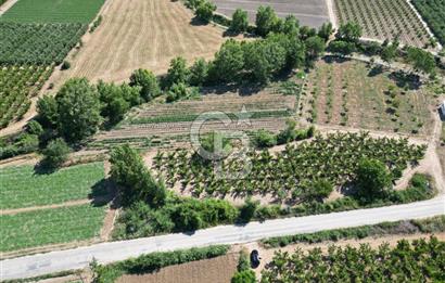 ÇANAKKALE MERKEZ AŞAĞI OKÇULAR KÖYÜNDE 4078 M2 SATILIK TARLA