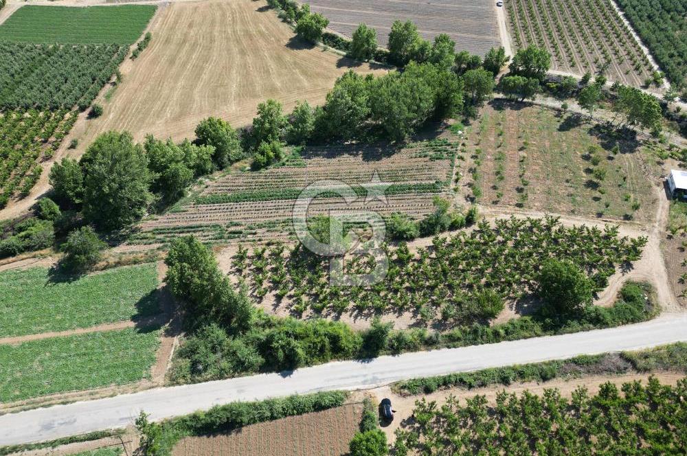 ÇANAKKALE MERKEZ AŞAĞI OKÇULAR KÖYÜNDE 4078 M2 SATILIK TARLA