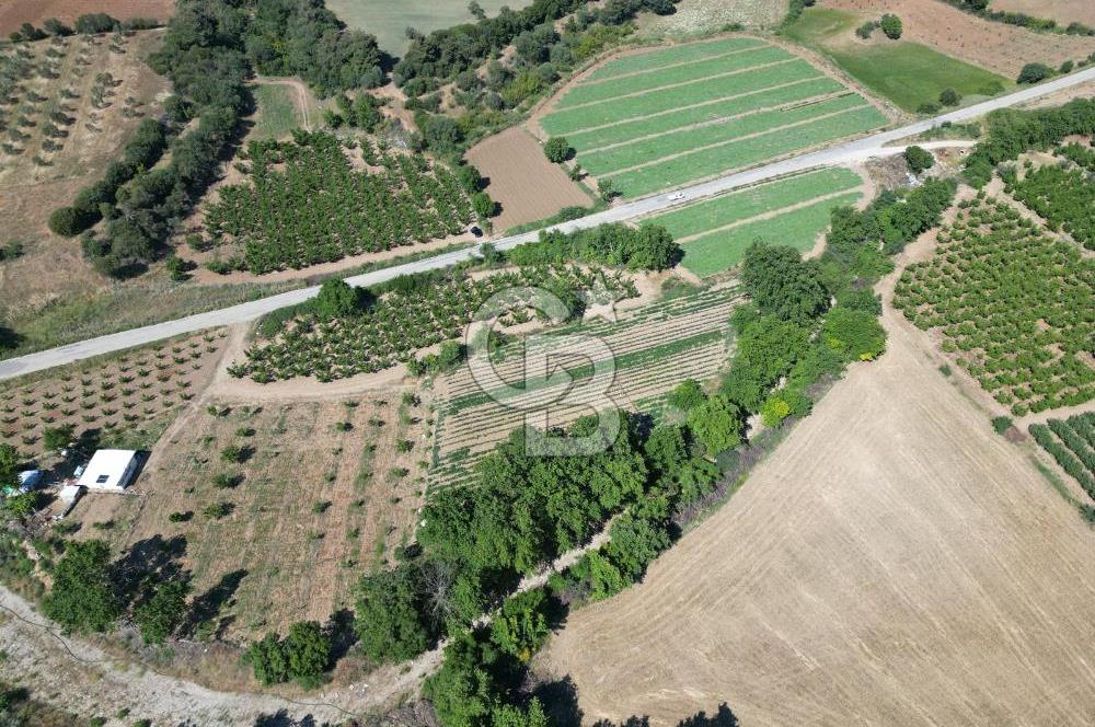 ÇANAKKALE MERKEZ AŞAĞI OKÇULAR KÖYÜNDE 4078 M2 SATILIK TARLA