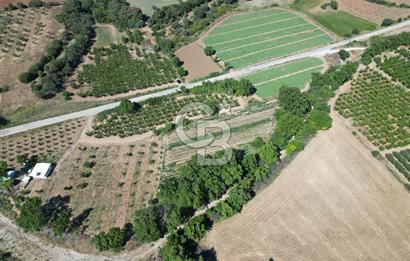 ÇANAKKALE MERKEZ AŞAĞI OKÇULAR KÖYÜNDE 4078 M2 SATILIK TARLA