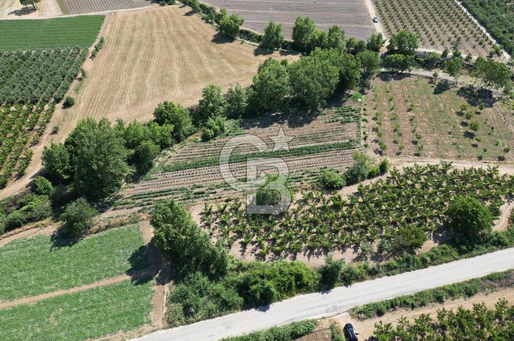 ÇANAKKALE MERKEZ AŞAĞI OKÇULAR KÖYÜNDE 4078 M2 SATILIK TARLA