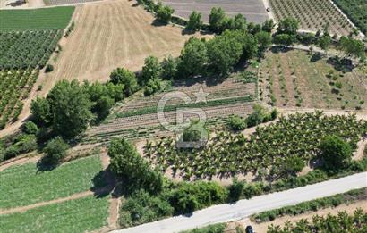 ÇANAKKALE MERKEZ AŞAĞI OKÇULAR KÖYÜNDE 4078 M2 SATILIK TARLA