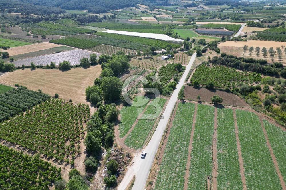 ÇANAKKALE MERKEZ AŞAĞI OKÇULAR KÖYÜNDE 4078 M2 SATILIK TARLA
