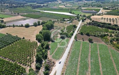 ÇANAKKALE MERKEZ AŞAĞI OKÇULAR KÖYÜNDE 4078 M2 SATILIK TARLA
