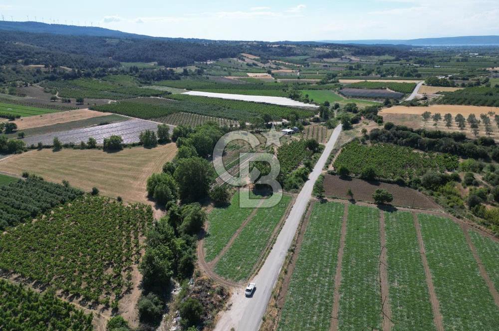 ÇANAKKALE MERKEZ AŞAĞI OKÇULAR KÖYÜNDE 4078 M2 SATILIK TARLA