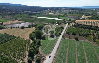 ÇANAKKALE MERKEZ AŞAĞI OKÇULAR KÖYÜNDE 4078 M2 SATILIK TARLA