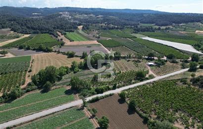 ÇANAKKALE MERKEZ AŞAĞI OKÇULAR KÖYÜNDE 4078 M2 SATILIK TARLA