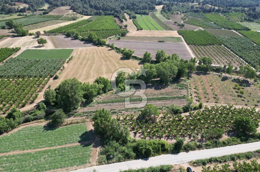 ÇANAKKALE MERKEZ AŞAĞI OKÇULAR KÖYÜNDE 4078 M2 SATILIK TARLA