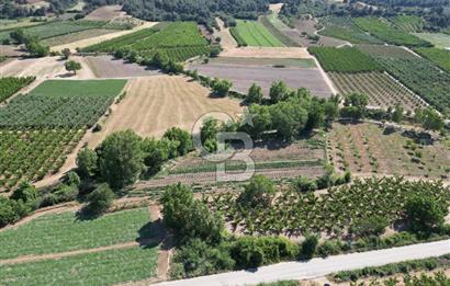 ÇANAKKALE MERKEZ AŞAĞI OKÇULAR KÖYÜNDE 4078 M2 SATILIK TARLA