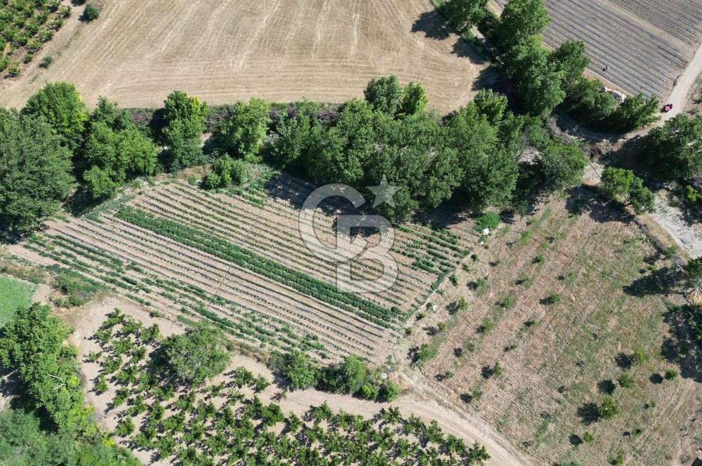 ÇANAKKALE MERKEZ AŞAĞI OKÇULAR KÖYÜNDE 4078 M2 SATILIK TARLA