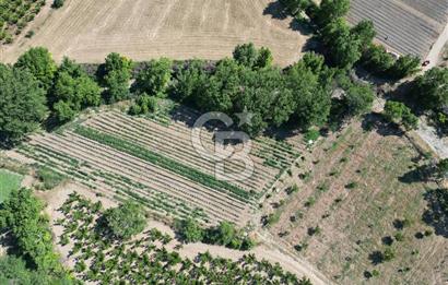 ÇANAKKALE MERKEZ AŞAĞI OKÇULAR KÖYÜNDE 4078 M2 SATILIK TARLA
