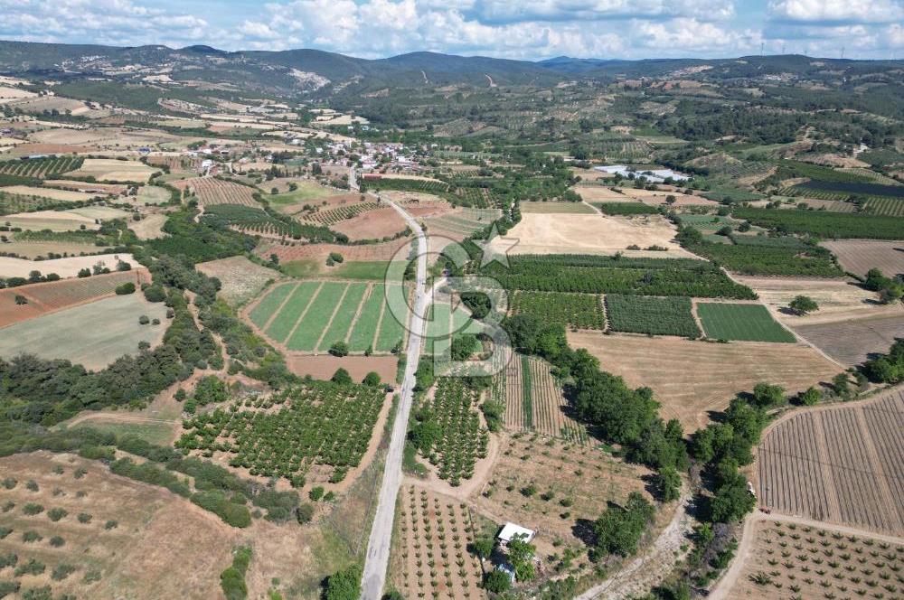 ÇANAKKALE MERKEZ AŞAĞI OKÇULAR KÖYÜNDE 4078 M2 SATILIK TARLA