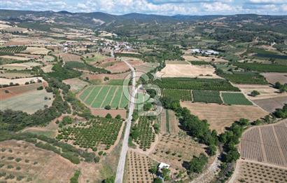 ÇANAKKALE MERKEZ AŞAĞI OKÇULAR KÖYÜNDE 4078 M2 SATILIK TARLA