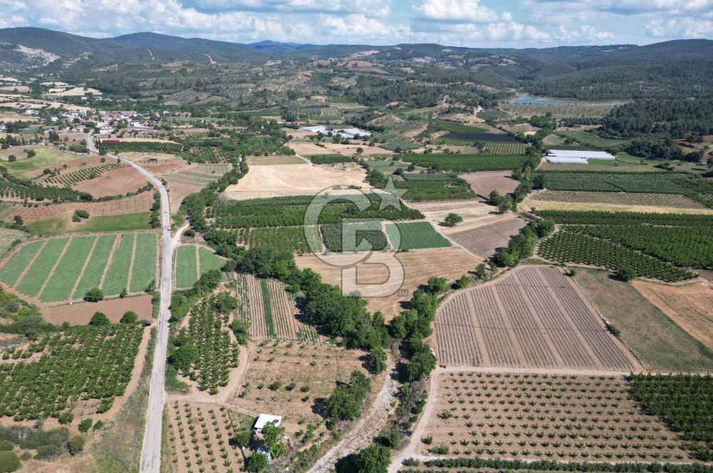 ÇANAKKALE MERKEZ AŞAĞI OKÇULAR KÖYÜNDE 4078 M2 SATILIK TARLA