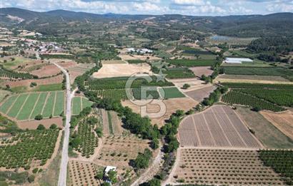 ÇANAKKALE MERKEZ AŞAĞI OKÇULAR KÖYÜNDE 4078 M2 SATILIK TARLA