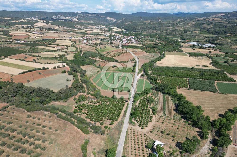 ÇANAKKALE MERKEZ AŞAĞI OKÇULAR KÖYÜNDE 4078 M2 SATILIK TARLA