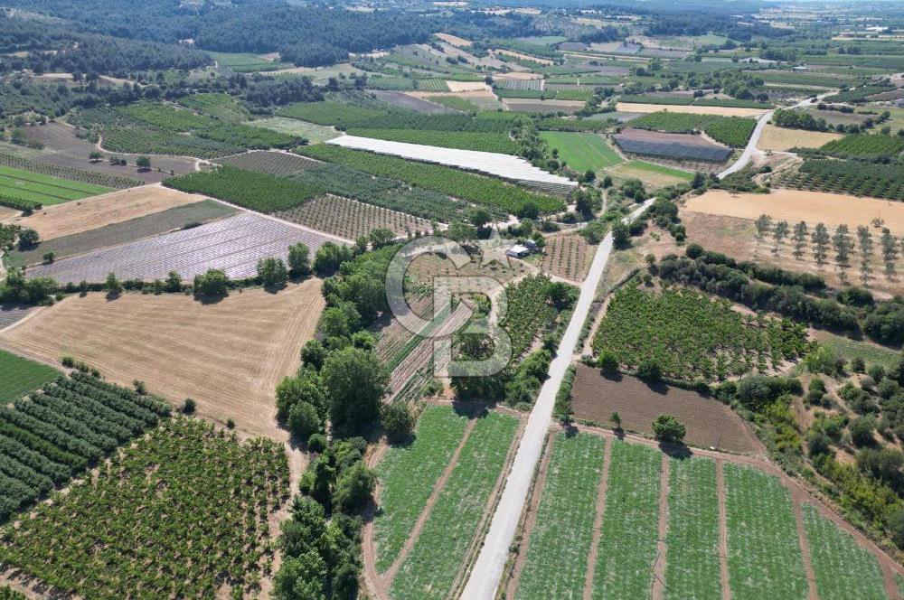 ÇANAKKALE MERKEZ AŞAĞI OKÇULAR KÖYÜNDE 4078 M2 SATILIK TARLA