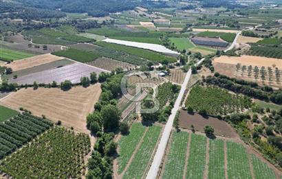 ÇANAKKALE MERKEZ AŞAĞI OKÇULAR KÖYÜNDE 4078 M2 SATILIK TARLA