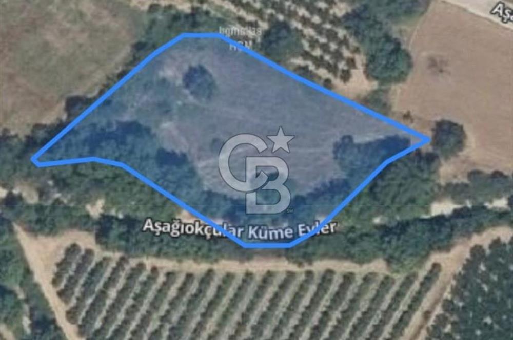 ÇANAKKALE MERKEZ AŞAĞI OKÇULAR KÖYÜNDE 4078 M2 SATILIK TARLA